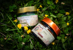 Kit Velas (Rivendell + The Shire)