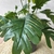 Planta artificial con maceta negra en internet