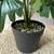 Planta artificial con maceta negra - tienda online