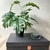 Planta artificial con maceta negra - comprar online