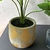 Planta artificial con maceta dorada - tienda online