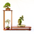 Mesa Para Bonsai de Madera con 3 Niveles