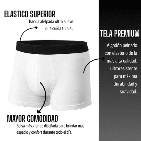 Banner de Todo boxer