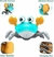 Imagen de CANGREJO GATEADOR INTERACTIVO