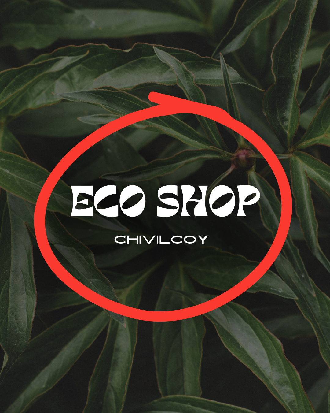 Eco Shop