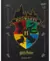 Planner Flexivel Harry Potter