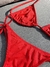 Bikini Artemisa en internet