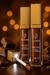 GLOSS SHINE COM LUZ DE LED E ESPELHO - comprar online