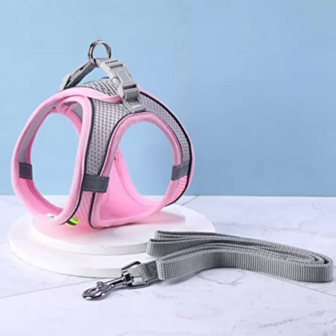 Set Arnés + Correa para Gatos y Perros Pequeños ROSA L