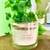 Vela Aromática Lavanda - comprar online
