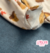 Macacão Bebê Unissex Nozes Algodão TILLY BABY - Delicata Kids 