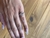 Anillo Orus - comprar online