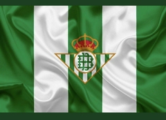 Banner da categoria REAL BETIS 
