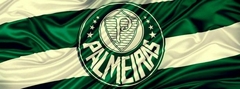 Banner da categoria PALMEIRAS