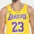 Camisa regata masculina do Los Angeles Lakers, modelo LeBron James nº 23, nas cores amarelo e roxo.