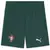 Calção Shorts Portugal 2025/26 - Verde - comprar online