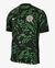 CAMISA NIGÉRIA - 2024/25 NIKE AWAY II - VERDE