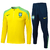 Conjunto Blusão Brasil 2024/25 Treino Nike - Amarelo - comprar online