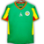Camisa Senegal 2002 - Retrô Masculino - Verde - comprar online
