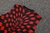Kit Flamengo Regata e Short 2025-26 - Pré Jogo Masculino - Rubronegro