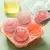 Imagem do 3d rosa moldes de gelo cozinha
