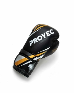 Guantes Proyec King Negro y Dorado - SANFERDEPORTES