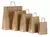 BOLSA DE PAPEL MADERA CON MANIJA (paquete x100un) - comprar online