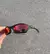 Oculos Oakley Splice Jacket Carbon