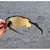 Oculos Oakley Radar EV Marrom