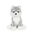 SIBERIANO CHICO HUSHKY