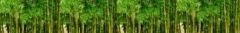 Banner da categoria Bamboo Zen