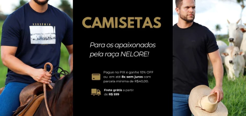 Carrossel 1
