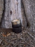 Mate Imperial Criollo - comprar online