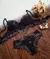 Conjunto Holly