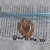 Choker Corazon rustico dorado