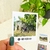 Polaroid Clássica com Spotify Code - comprar online