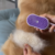 PetGlow Electric Comb with Steamer - buy online