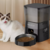 PetFeeder Automatic Food Dispenser