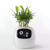 GreenMoods - Smart Pot