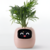 GreenMoods - Smart Pot - buy online