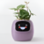 GreenMoods - Smart Pot on internet