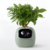 GreenMoods - Smart Pot - HomEss Mx