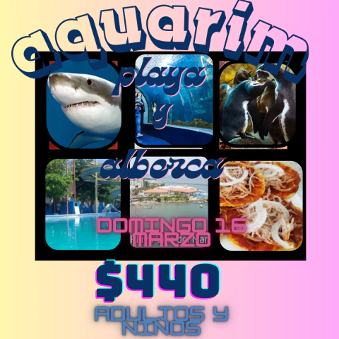 Aquarium playa y alberca