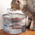 Fuente de Agua para Mascotas - comprar online