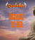 Óculos de Sol