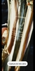 Sax Alto Weril Spectra II - comprar online