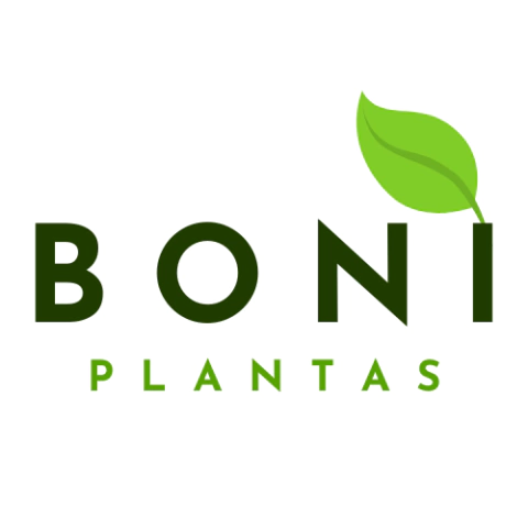 Boni Plantas