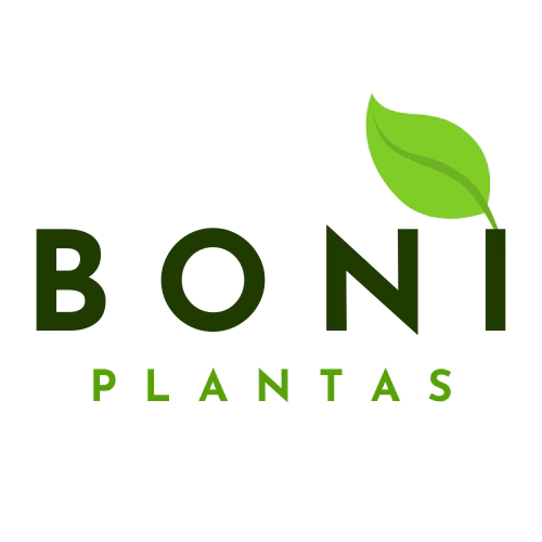Boni Plantas