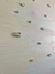LADY Berlin(60X80) - comprar online