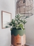 Jiboia Njoy e Vaso M - comprar online